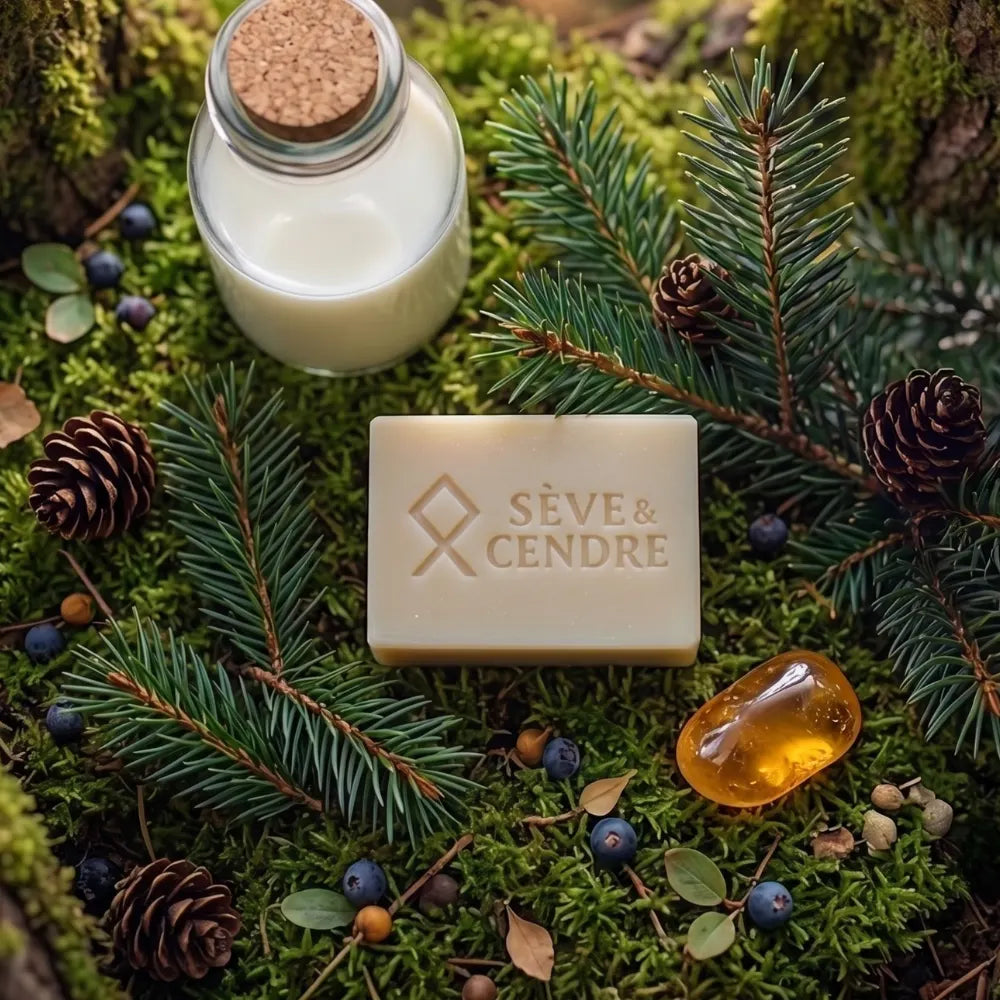 Savon au lait de chèvre et sapin Sève & Cendre posé sur des branches de pin fraîches